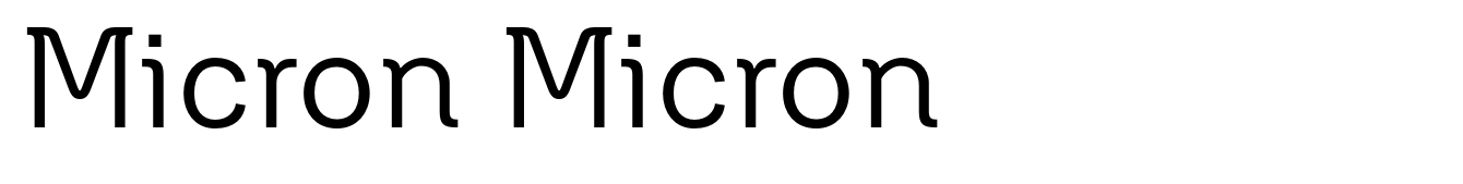 Micron Micron